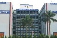 CSB 2.webp
