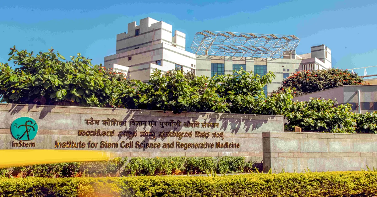 InStem Recruitment.webp