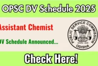 OPSC Assistant Chemist DV Schedule 2025: Check Document Verification Date @ opsc.gov.in
