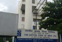 Cotton Corporation of India Recruitment.webp
